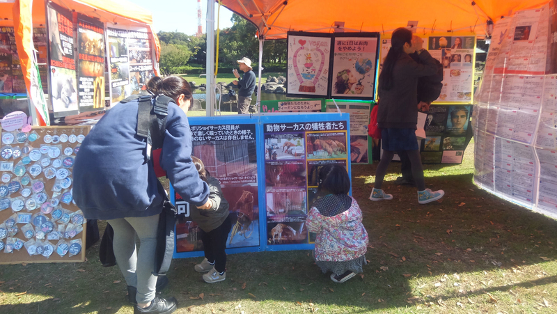 20181028h.jpg