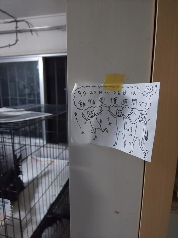 2018oki102.jpg