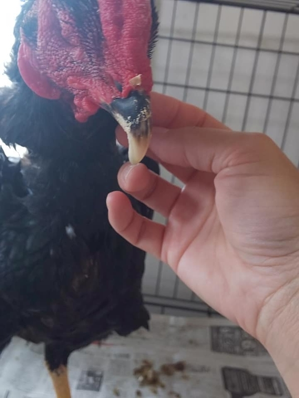 2018oki304.jpg