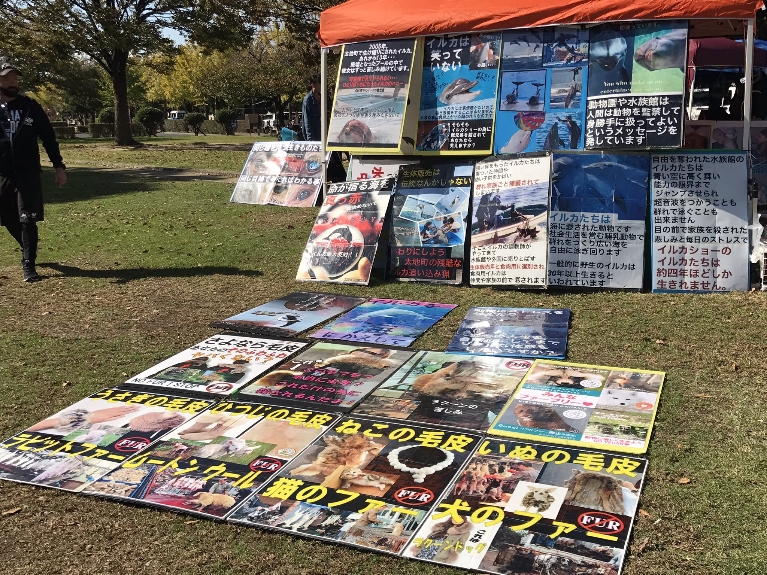 IMG_20181205_212606.jpg