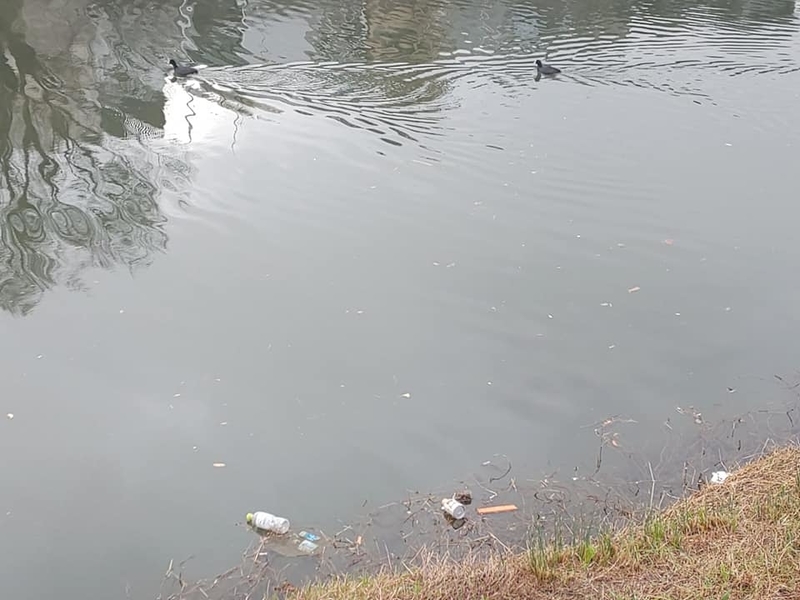 kamogawagomi11.jpg