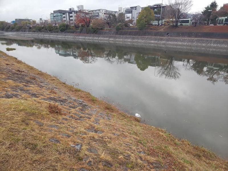 kamogawagomi12.jpg