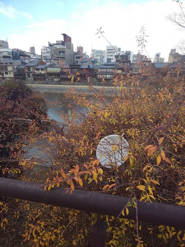 kamogawagomi7.jpg