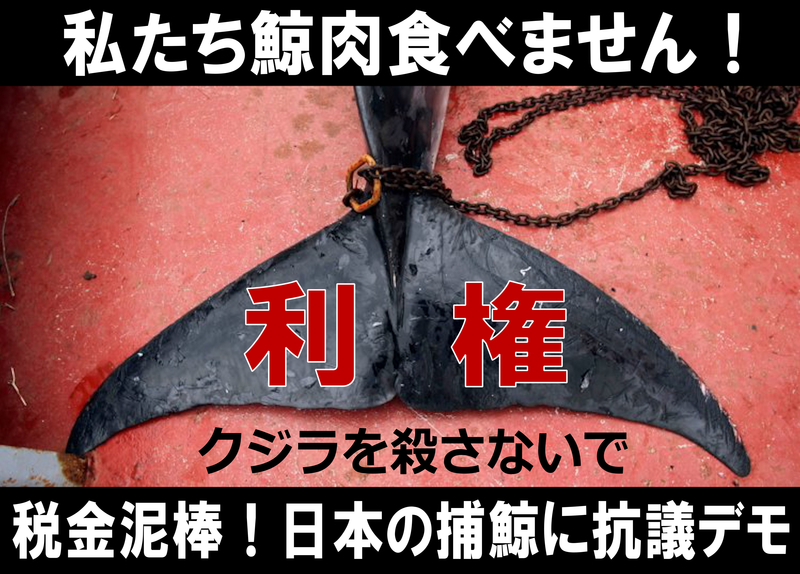 kujirademoP1.jpg