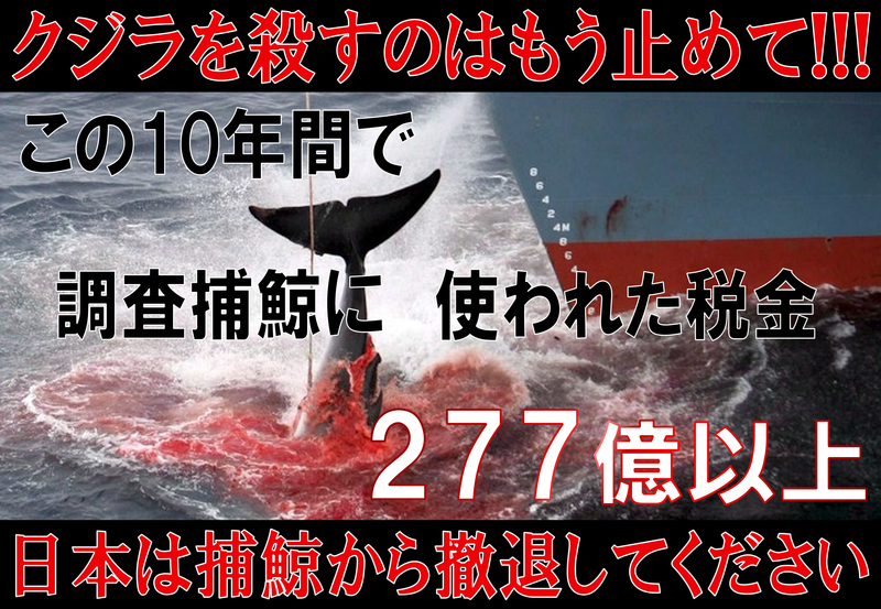 kujirademoP5a.jpg