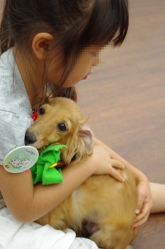 f:id:animal_protections:20111124141240j:image