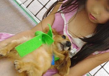f:id:animal_protections:20111124141241j:image