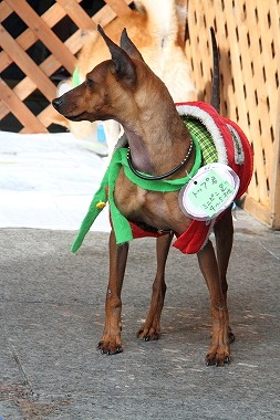 f:id:animal_protections:20120117222659j:image f:id:animal_protections:20120117222659j:image
