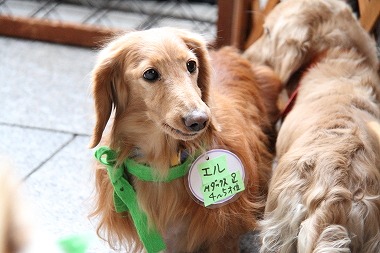 f:id:animal_protections:20120118114050j:image f:id:animal_protections:20120118114050j:image