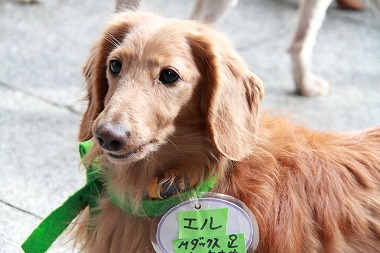 f:id:animal_protections:20120118114051j:image f:id:animal_protections:20120118114051j:image