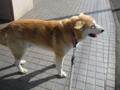 20120131201635