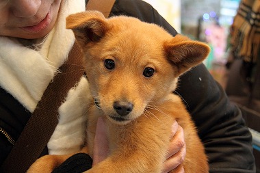 f:id:animal_protections:20120229232753j:image f:id:animal_protections:20120229232753j:image