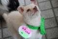 20120313010201