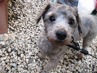 f:id:animal_protections:20120407100502j:image f:id:animal_protections:20120407100502j:image