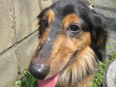 20120601145501