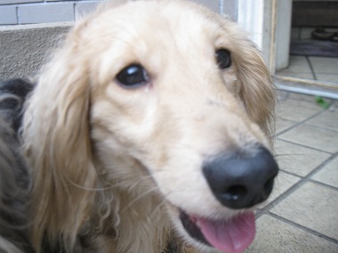 20120601145504