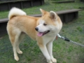20120621230131