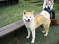 20120621230132