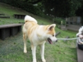 20120621230134