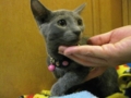 20120624223003