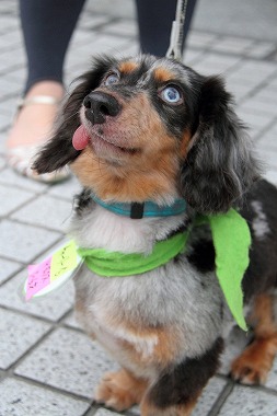 20120724004923