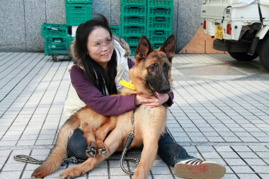 f:id:animal_protections:20121222211734j:image