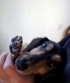 20130109232749
