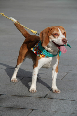 f:id:animal_protections:20130114174047j:image f:id:animal_protections:20130114174047j:image