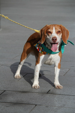 f:id:animal_protections:20130114174048j:image f:id:animal_protections:20130114174048j:image