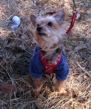 f:id:animal_protections:20130120200200j:image f:id:animal_protections:20130120200200j:image