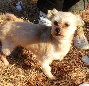 f:id:animal_protections:20130120200203j:image