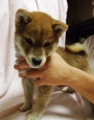 20130129171031
