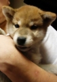 20130129171034