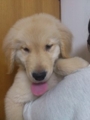 20130331175104