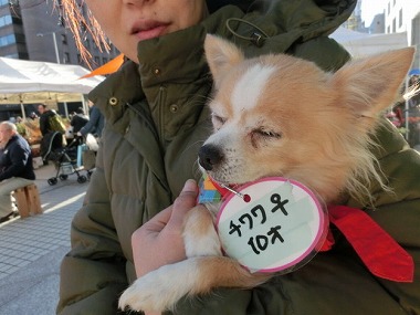 f:id:animal_protections:20140204200150j:image