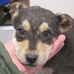 20140403221622