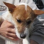 20140403221624
