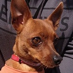 20140403221625