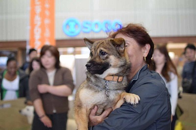 f:id:animal_protections:20141114145341j:image f:id:animal_protections:20141114145341j:image