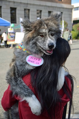 f:id:animal_protections:20141201163613j:image