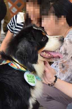 f:id:animal_protections:20150910130320j:image f:id:animal_protections:20150910130320j:image