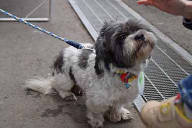 f:id:animal_protections:20160311144632j:image f:id:animal_protections:20160311144632j:image