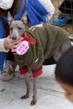 f:id:animal_protections:20160408135825j:image f:id:animal_protections:20160408135825j:image