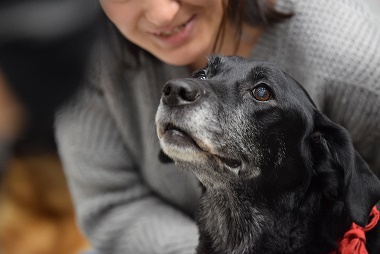 f:id:animal_protections:20170211210302j:image f:id:animal_protections:20170211210302j:image