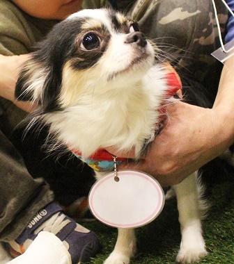 f:id:animal_protections:20170413134133j:image