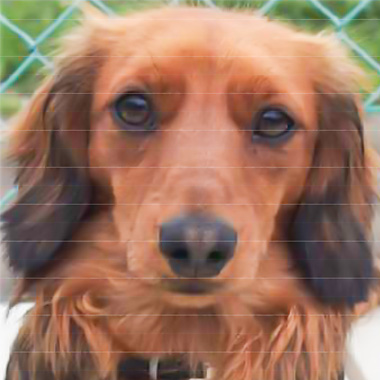 f:id:animal_protections:20170426155425j:image f:id:animal_protections:20170426155425j:image