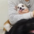 20171130103445