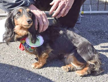 f:id:animal_protections:20180308095311j:image