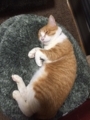 20180507125553