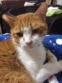 20180507125556